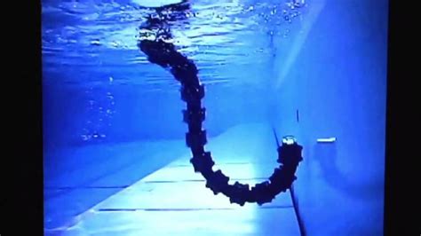 A Slithering Snake Robot That Can Swim Underwater With Unsettling Ease