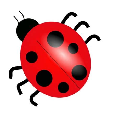 Bug Clipart Bug Transparent Free For Download On Webstockreview 2020