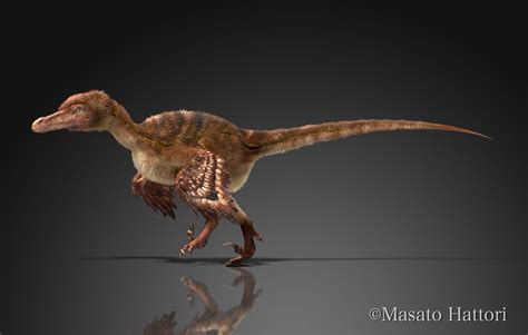 Velociraptor Animales Prehistóricos Prehistórico Prehistorico