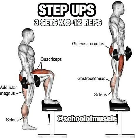 Step Ups Step Up Workout Best Leg Workout Leg Day Workouts Bottom