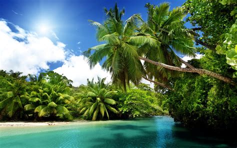 Download Wallpapers Tropical Island Beautiful Bay Palms Summer