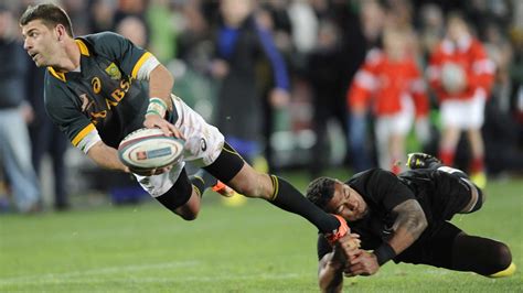 My thoughts on the springboks. Rugby » Vacances - Arts- Guides Voyages