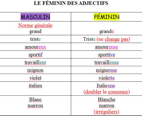 Blog De Grammaire Les Adjectifs Les F Minin Des Adjectifs
