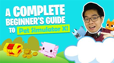 A Complete Beginners Guide To Pet Simulator X Roblox Noob To Pro