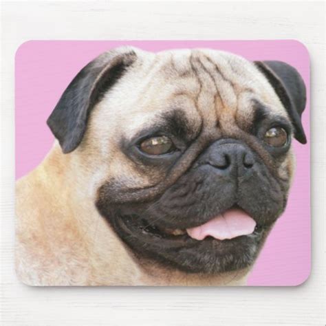 Pug With Tongue Sticking Out Mousepad Zazzle