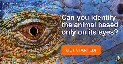 Can You Identify The Animal Based Trivia Quiz Quizzclub