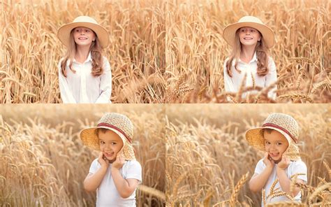 Golden Wheat Overlays Golden Field Overlay Wheat Field Etsy