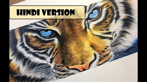 Drawing Realistic Tiger With Color Pencils Youtube