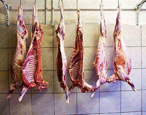 Hanging Meat Pictures Images And Stock Photos Istock