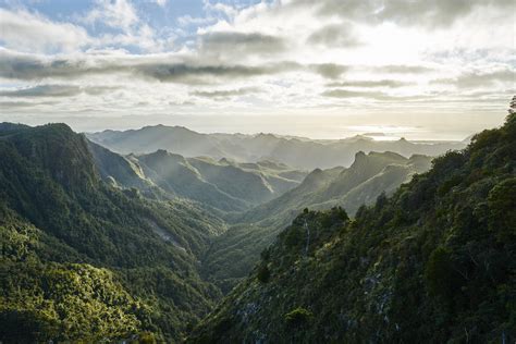Coromandel Forest Park View From The Pinnacles New Zealand 6258x4177