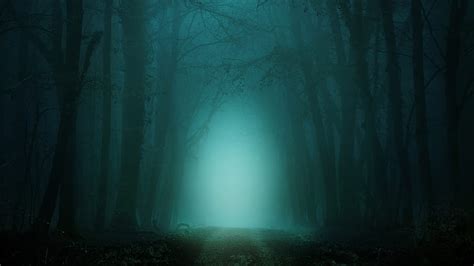 Dark Forest Foggy Scary Path Trees Nature Hd Wallpaper Peakpx