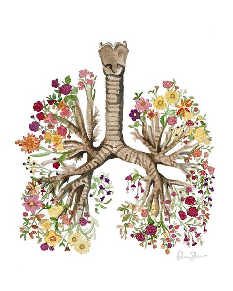 Lungs Floral Watercolor Print Abstract Lungs Thoracic Surgery Art