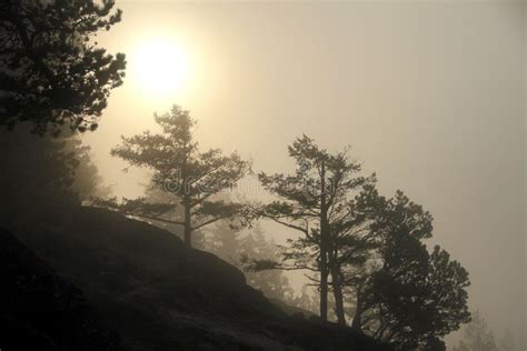 Early Morning Sun Breaks Through Thick Fog Stock Image Image Of