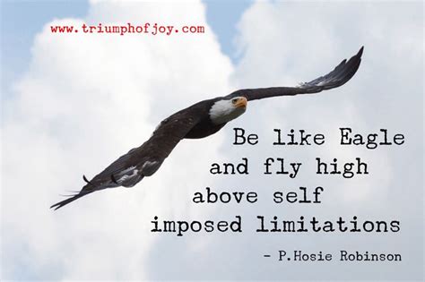 Explore our collection of motivational and famous quotes by authors you know fly high quotes. Be like Eagle and fly high above self imposed limitations -P. Hosie Robinson (With images ...