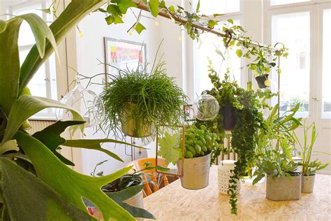 Diy Hanging Garden Build Your Own Indoor Vertical Garden Vertical