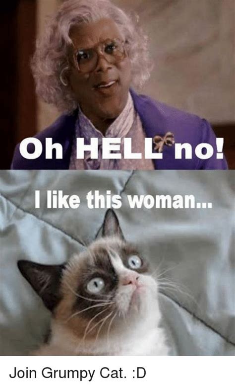 Take The Marvelous Funny As Hell Cat Memes Hilarious