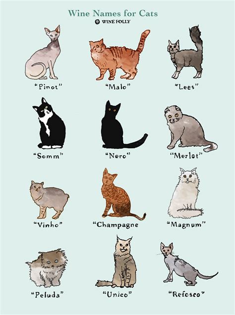 Christmas cat names will likely appeal to the sentimental and those who especially enjoy this warm hearted season that comes every year. 25 Perfectly Fitting Wine Names for Cats | Wine Folly
