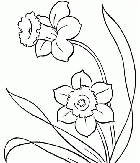 As the spring season came, she started making space for the honey that she will be making from the flowers growing during. Spring Flowers Colouring Pages Printout - Spring Coloring ...