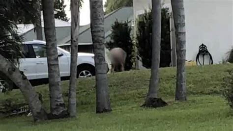 Naked Neighbor Has Florida Residents Saying They Cant Bare It Anymore