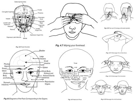 Face Massage Learn Self Healing Techniques Online