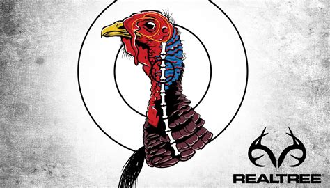 Shot Placement For Turkey Hunting Ryan Orndorff Illustations