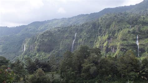 Mengenal Hutan Konservasi Di Indonesia Mulai Suaka Alam Hingga Taman