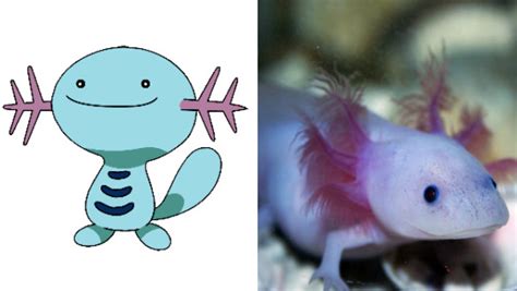 14 Pokémon Based On Bizarre Real Life Creatures Sg Web