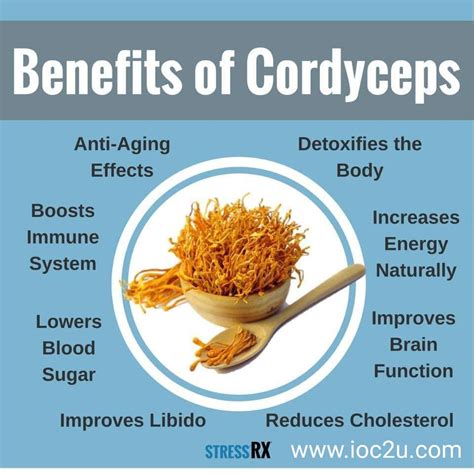 Cordyceps Coffee Posts Facebook