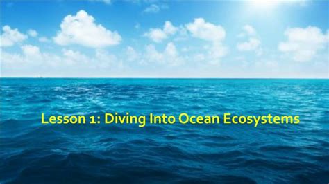 Ppt Lesson 1 Diving Into Ocean Ecosystems Powerpoint Presentation