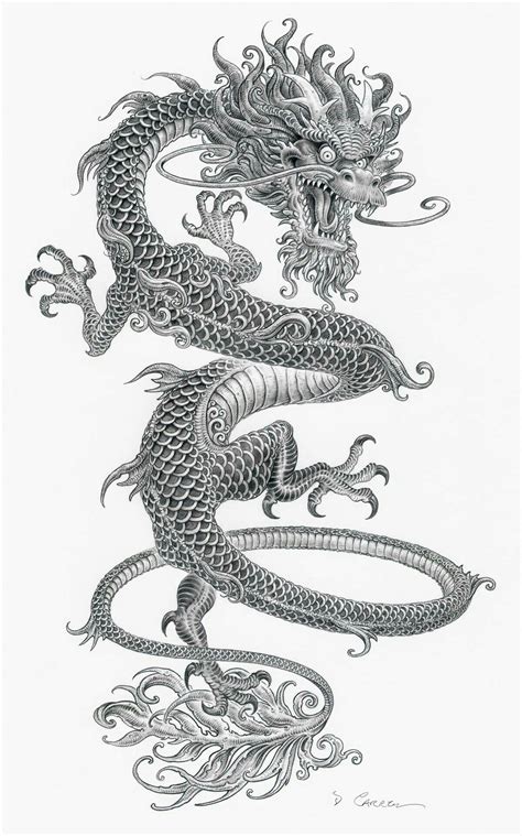 Dragon Art Design Dragon Illustration Chinese Dragon Tattoos
