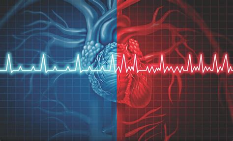 A sudden change in heart rate can occur under virtually any you also have more risk if your heart is compromised in some way, as a physical abnormality has the potential to disrupt the electrical signals that govern the heartbeat. Fast heart beat: A functional disease of heart | The Daily ...