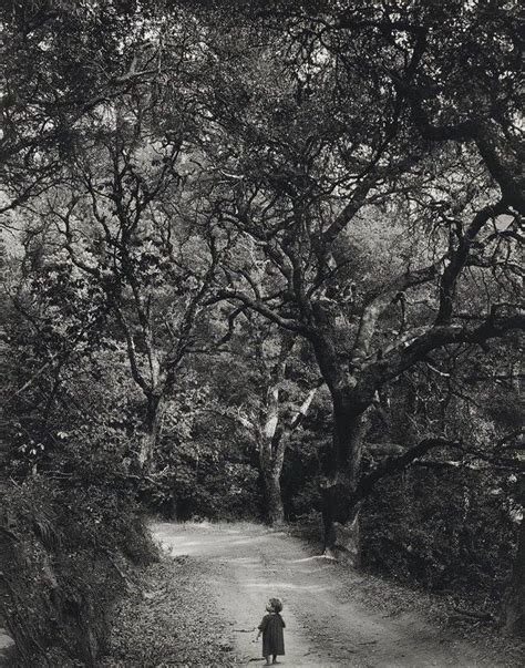 Wynn Bullock Child On A Forest Road 1958 Forest Road Photo High Museum