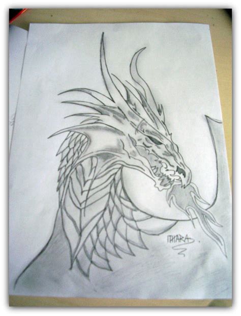 Fire Dragon By Ithara On Deviantart