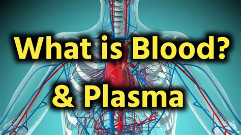 What Is Blood Plasma