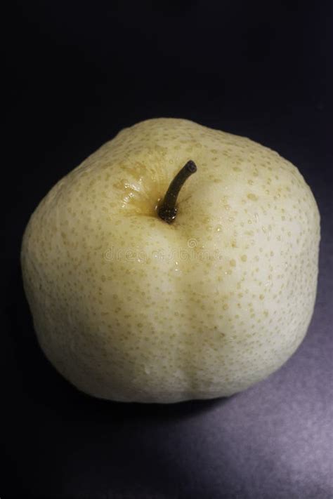 Single Fresh Asian Whole Pear Stock Photo Image Of Drink Freshness