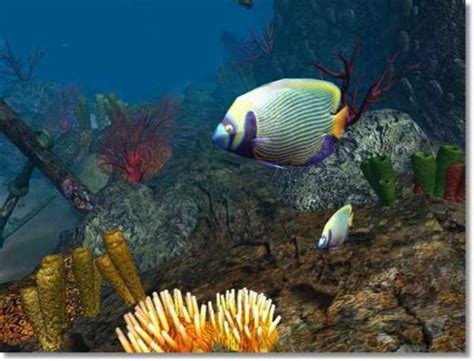 Marine Life 3d Screensaver Download