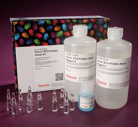 Pierce Bca Protein Assay Kit Thermo Fisher Scientific