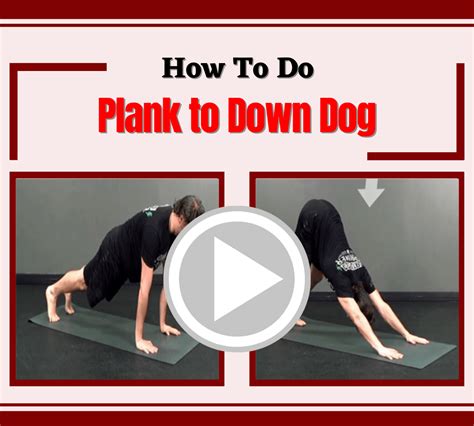 Plank To Down Dog Aestheticbeats