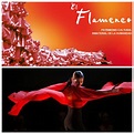 La UNESCO ha incluido al Flamenco en la Lista Representativa del ...
