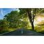 Nature Path Background Download  HD Desktop Wallpapers 4k