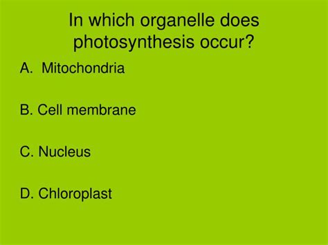 In what cellular organelle does respiration occur. PPT - Review for Photosynthesis and Cellular Respiration ...