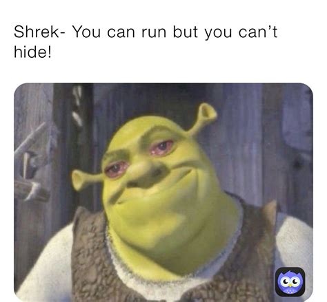 Shrek You Can Run But You Cant Hide 2nqvkubeu8 Memes