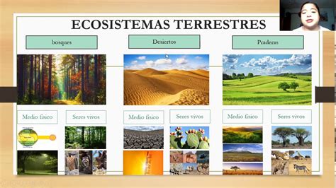 Diferentes Tipos De Ecosistemas