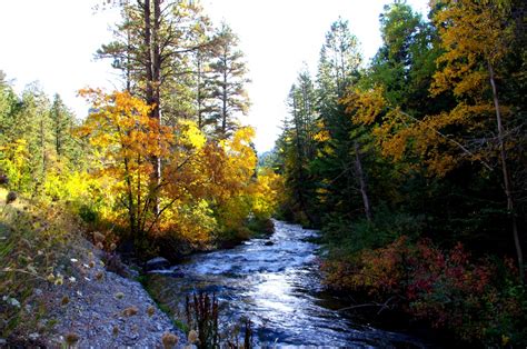 Spearfish Canyon Birding ⋆ All About The Black Hills