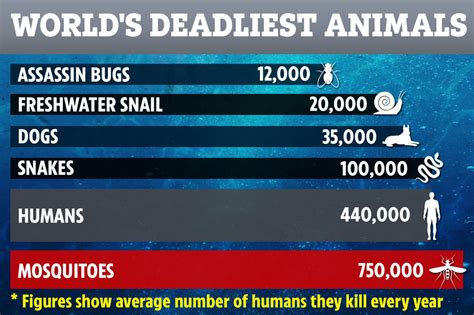 Worlds Deadliest Animals Ranked By Number Of Humans Killed And