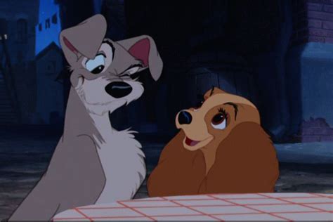 Lady And The Tramp Disneys Lady And The Tramp Image 9960510 Fanpop