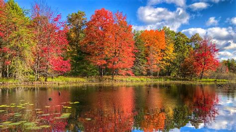 When Will Fall Colors Peak In West Michigan