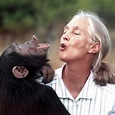 Biographie | Jane Goodall - Éthologue, primatologue | Futura Planète