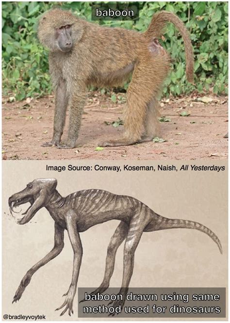 Darwin gave the theory of evolution. baboon drawn using the same method as those used to draw dinosaurs | Dinosaur, Animal drawings ...