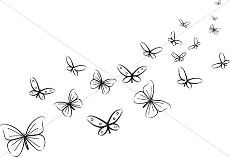 Black White Butterfly Clipart 20 Free Cliparts Download Images On
